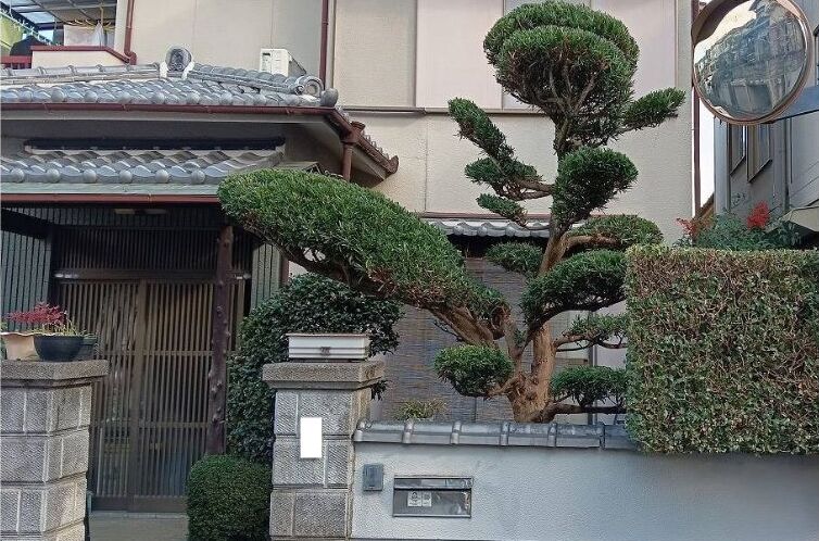 植木剪定 施工後